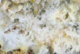 Polished Nydegger Plume Agate Slab - Oregon #141302-2